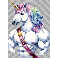 Rainbow Horse-RH 346